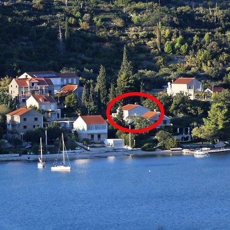 Apartments By The Sea Slano, Dubrovnik - 8599 Eksteriør billede